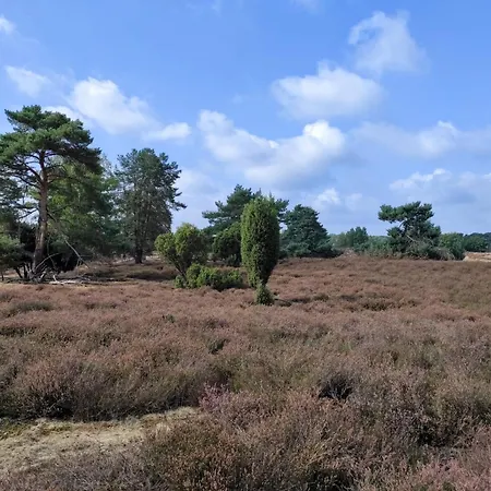 Mamat Ferienwohnungen Appartement Haltern