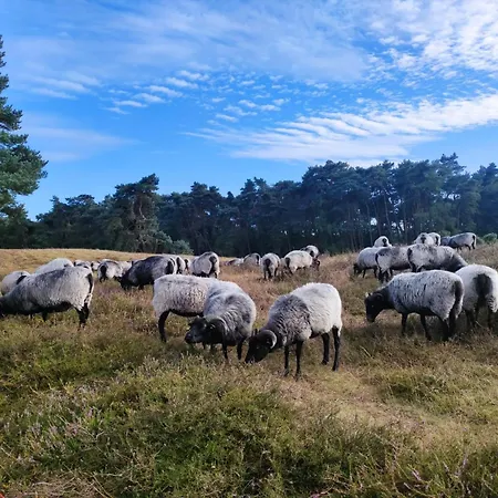 Mamat Apartment Haltern