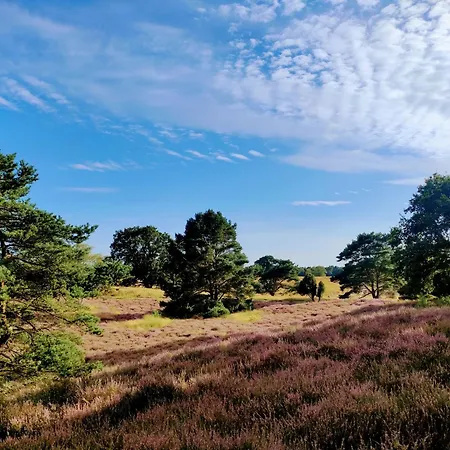 Mamat * Haltern am See