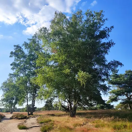 Mamat Lägenhet Haltern am See