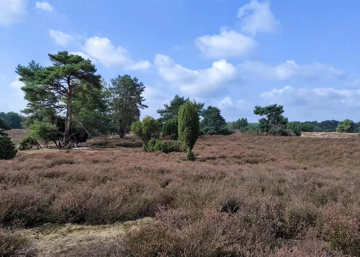 Mamat Ferienwohnungen Appartement Haltern