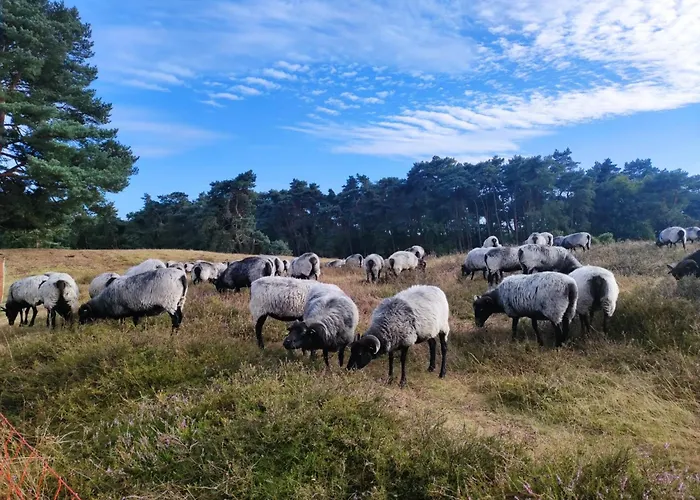 Mamat Lägenhet Haltern am See
