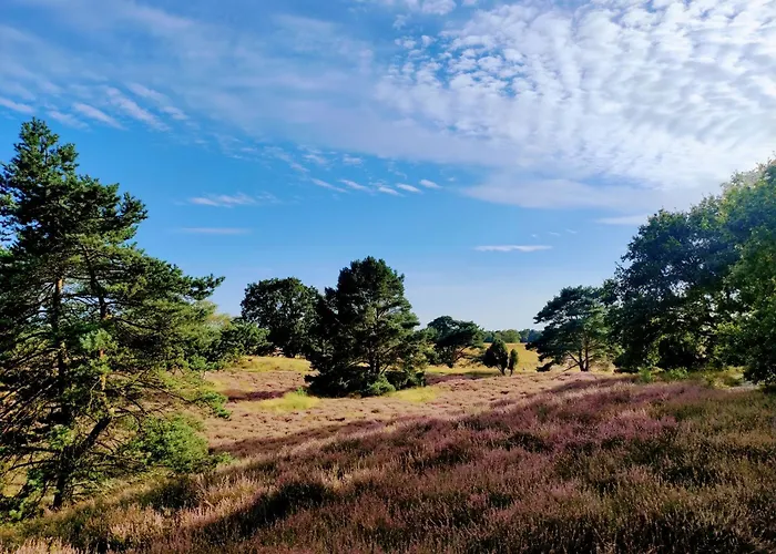Mamat * Haltern am See