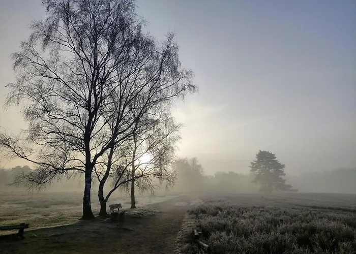 Mamat Lägenhet Haltern am See