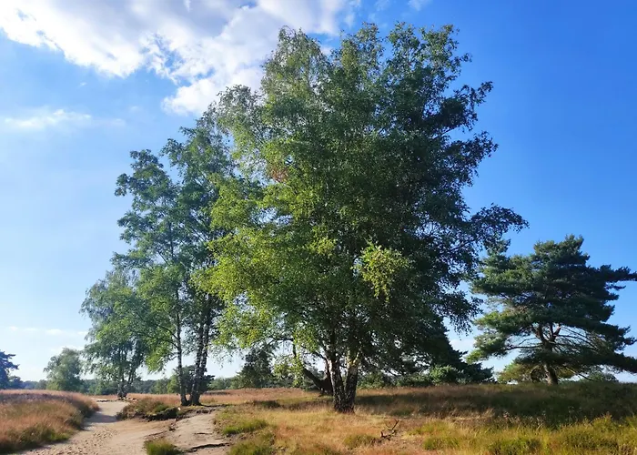 Mamat Lägenhet Haltern am See