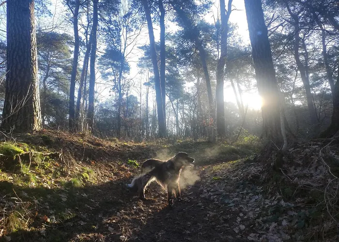 Mamat * Haltern am See