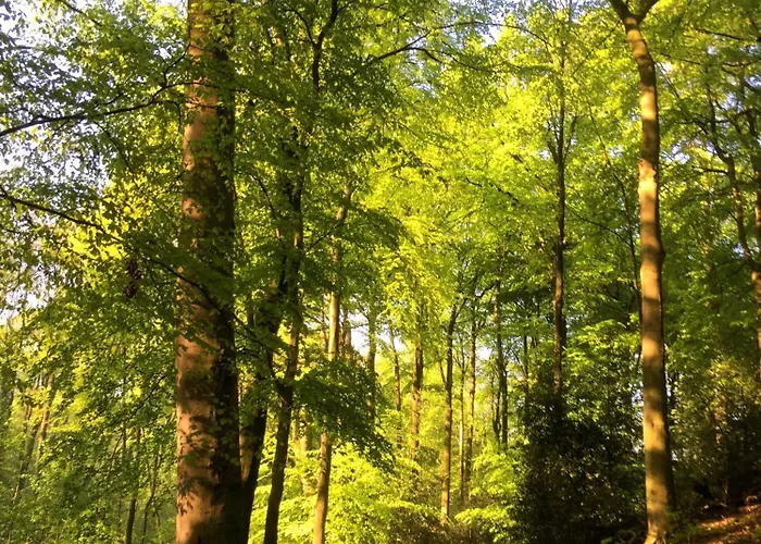 Mamat Lägenhet Haltern am See