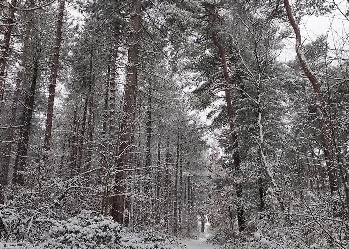Mamat Haltern am See